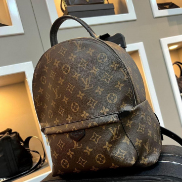 LV  Back Pack